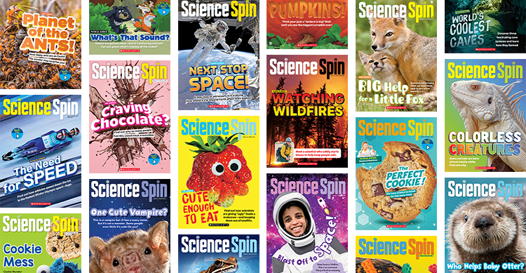 Collage of Science Spin magazine covers on topics in nature, space, food, and science