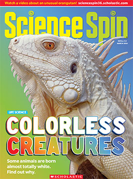 Magazine Issue Cover