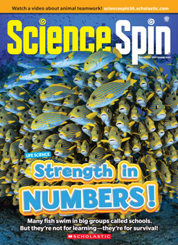 Magazine Issue Cover